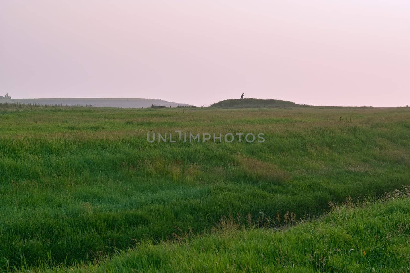 A mysterious figure on the former island Wieringen.