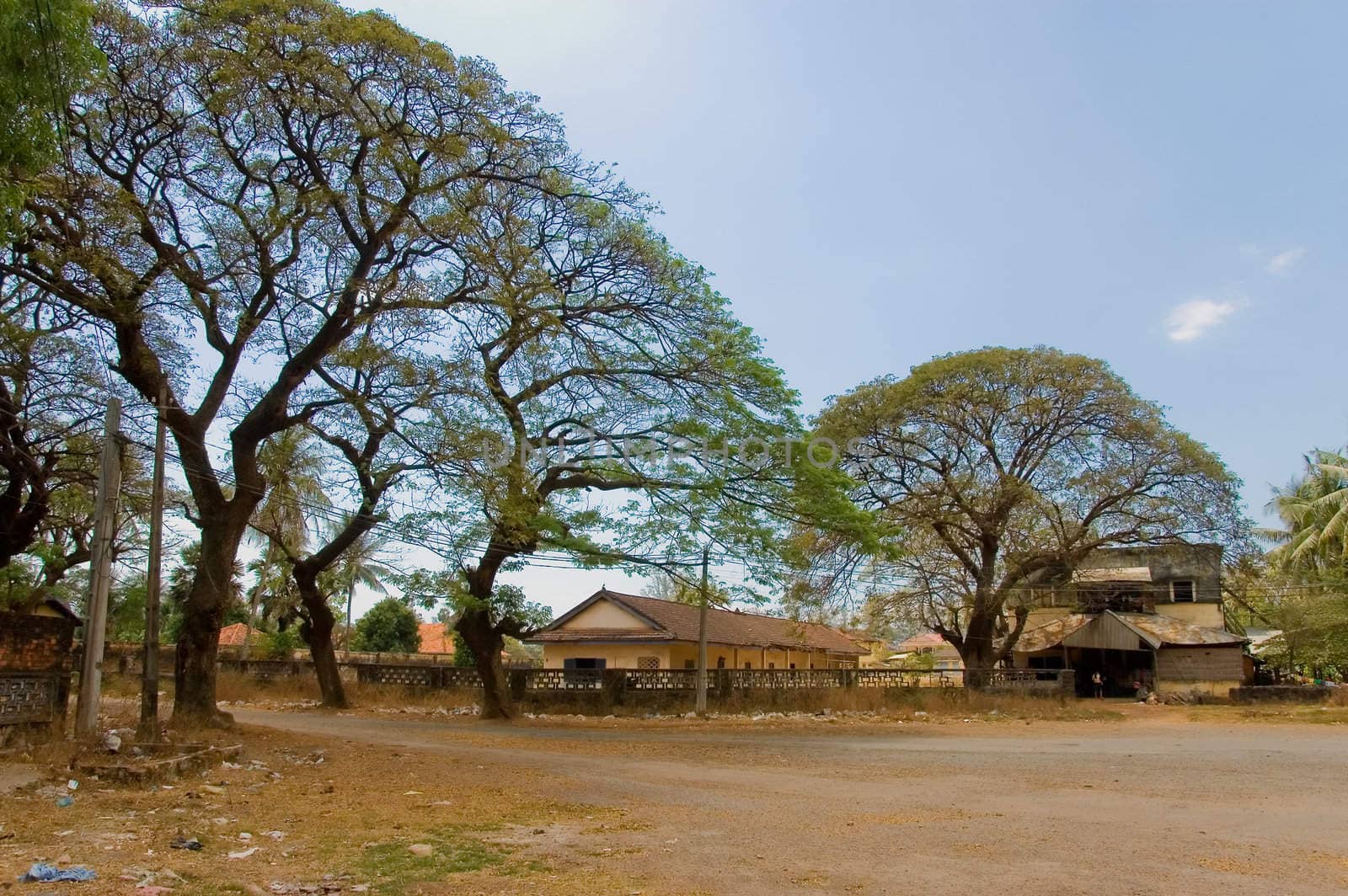 cambodian landscape