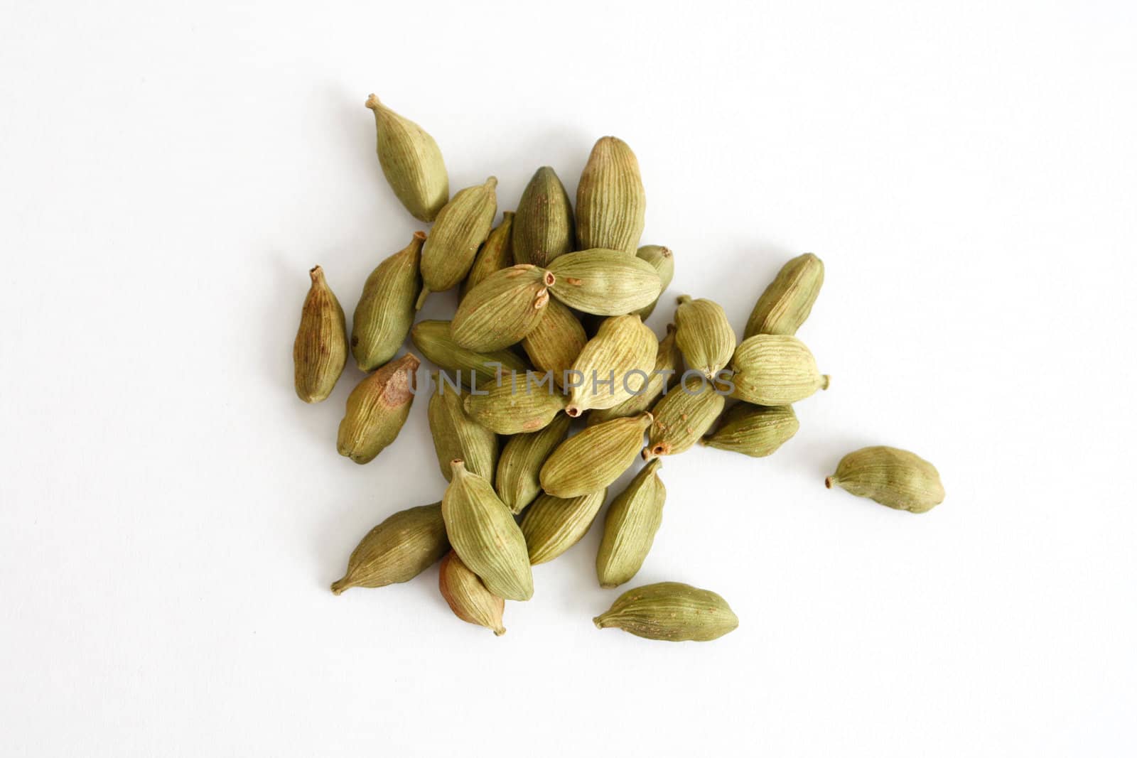 Cardamom