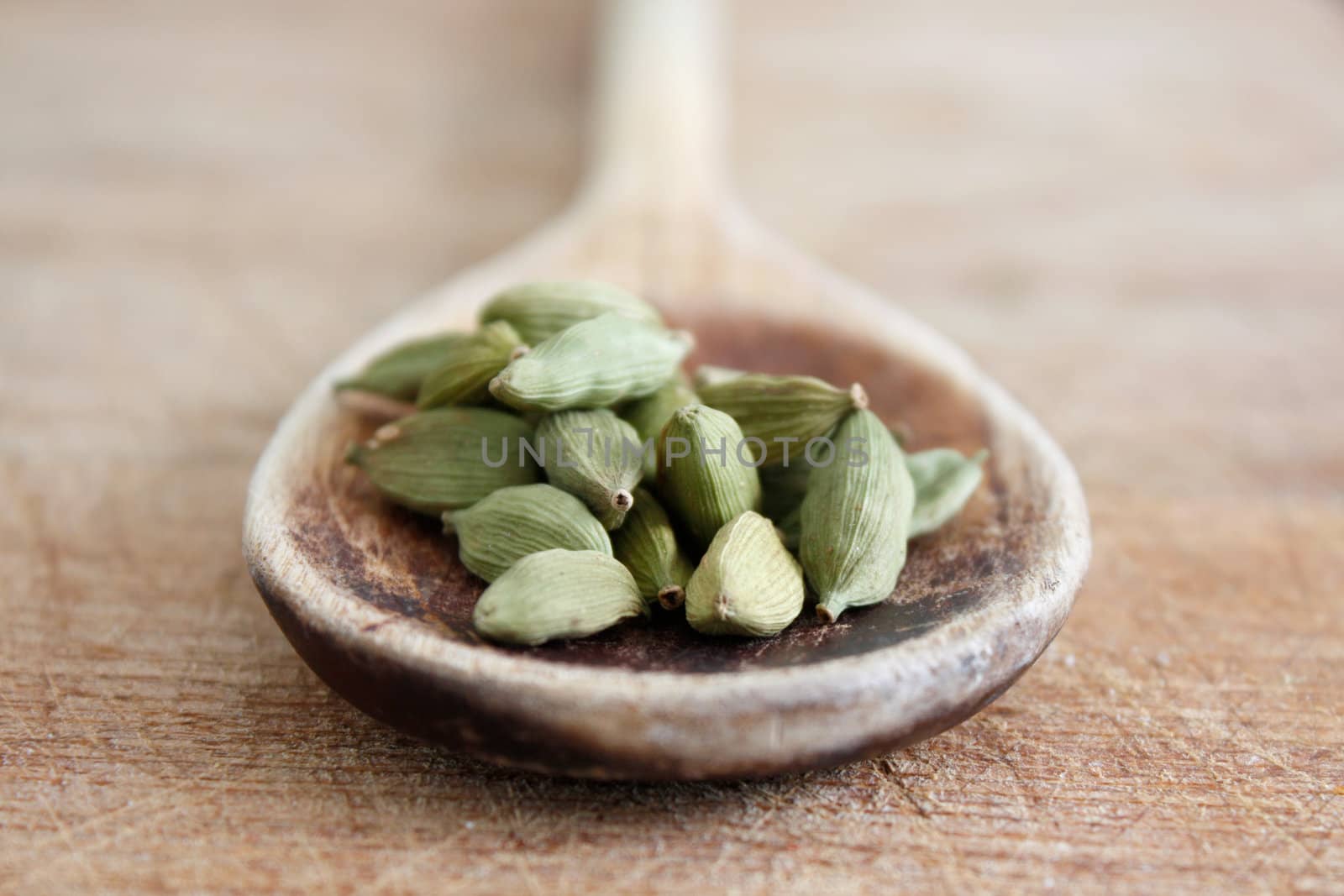 Cardamom