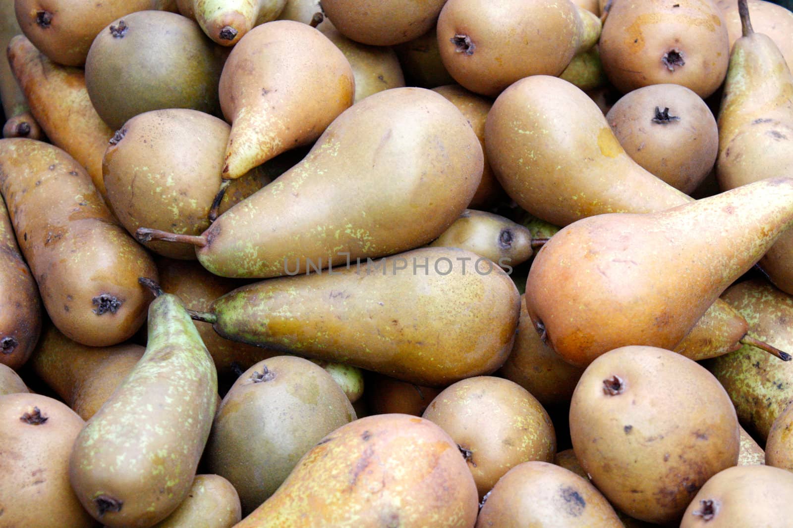 Pears