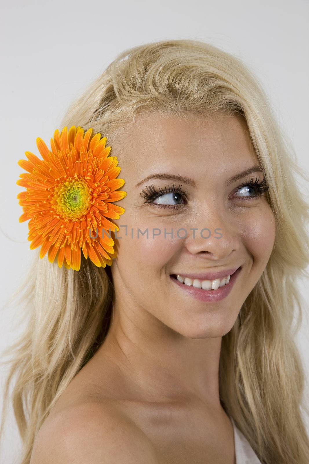 woman with orange gerbera on isolated studio pictures