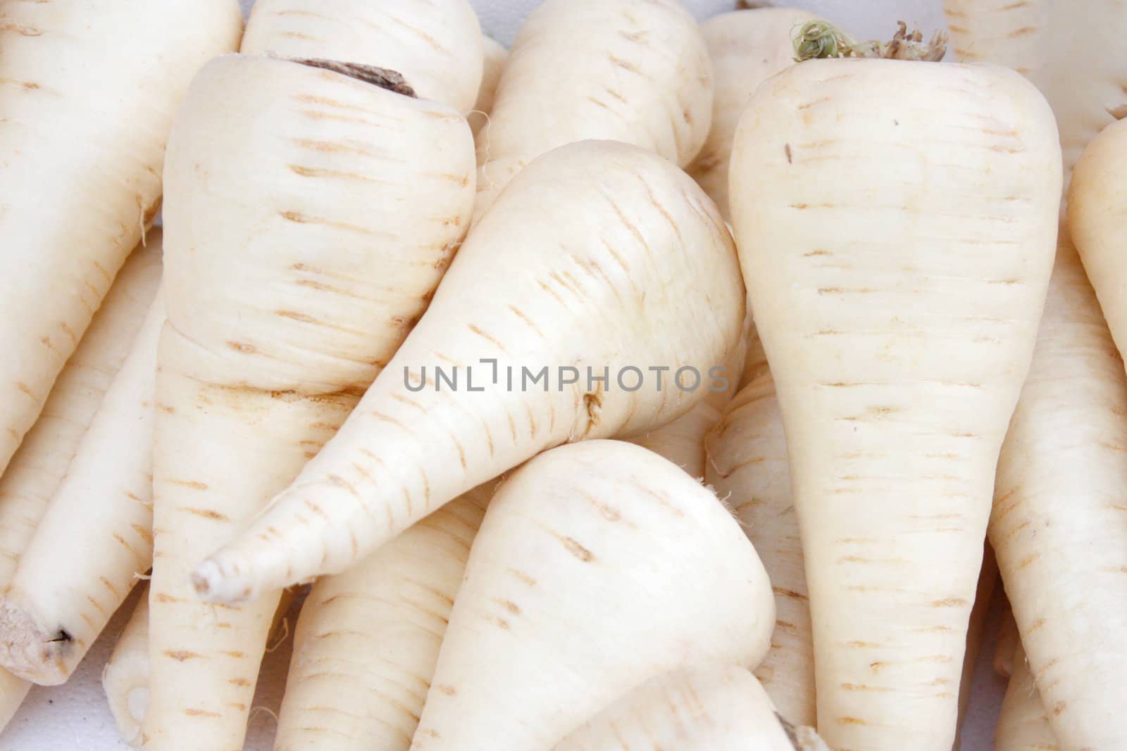 Parsnips by leeser