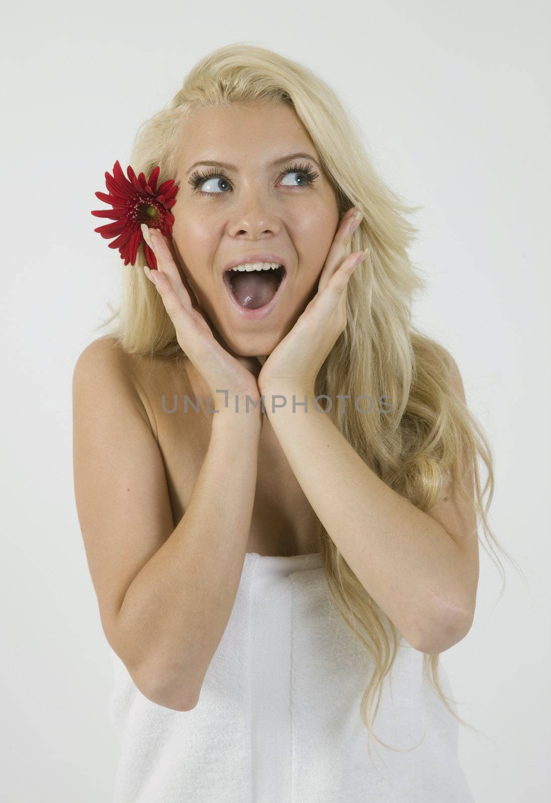 shocked female and gerbera in hair isolated on white background