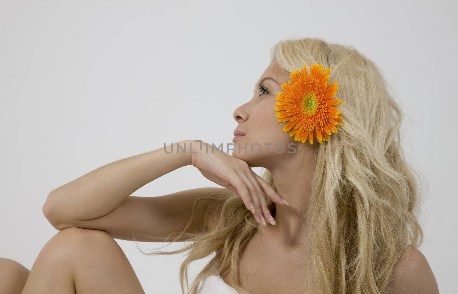blonde lady with gerbera isolated on white background