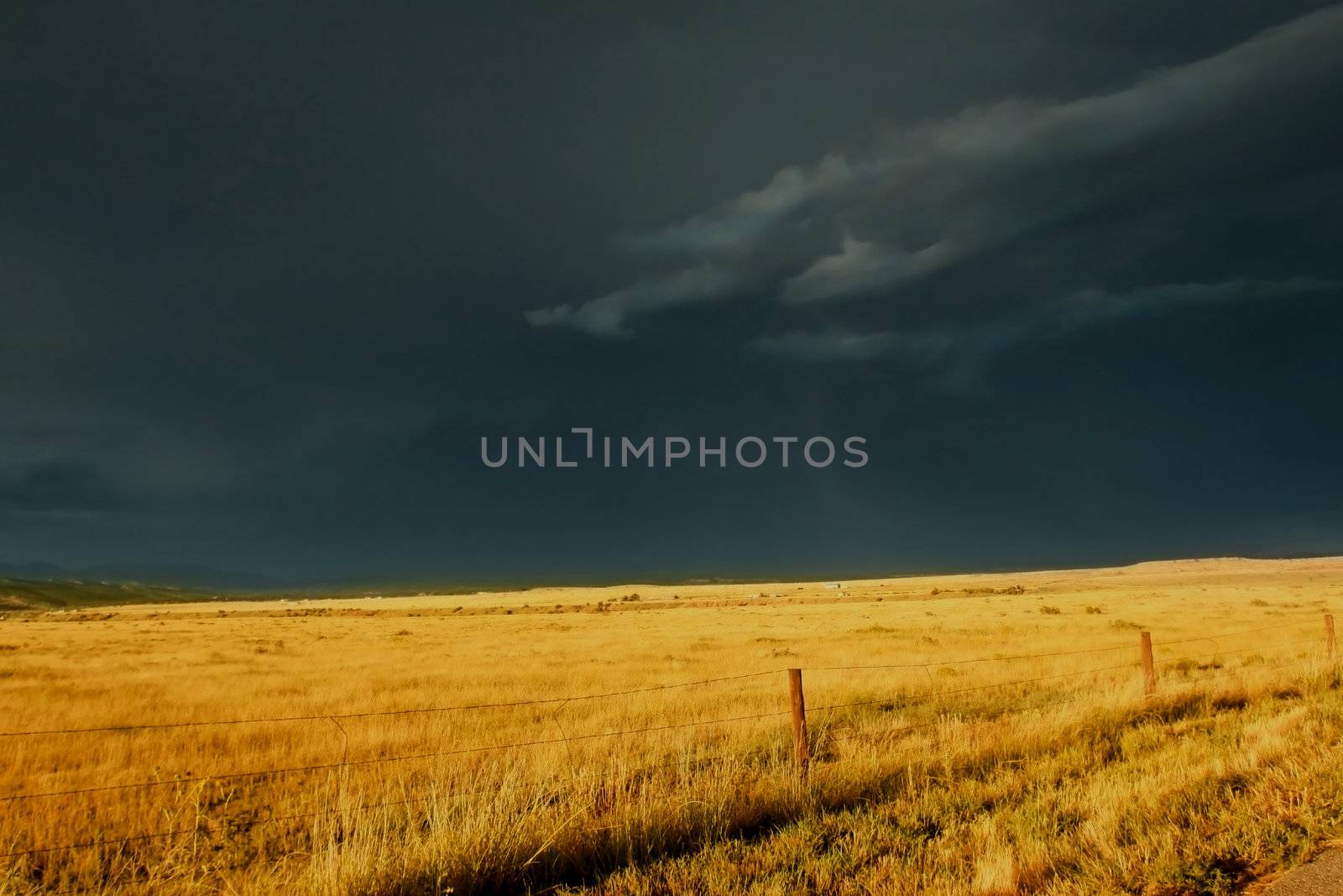 Dark, ominous storm clouds roll over golden prairie grass highlighted by the setting sun.