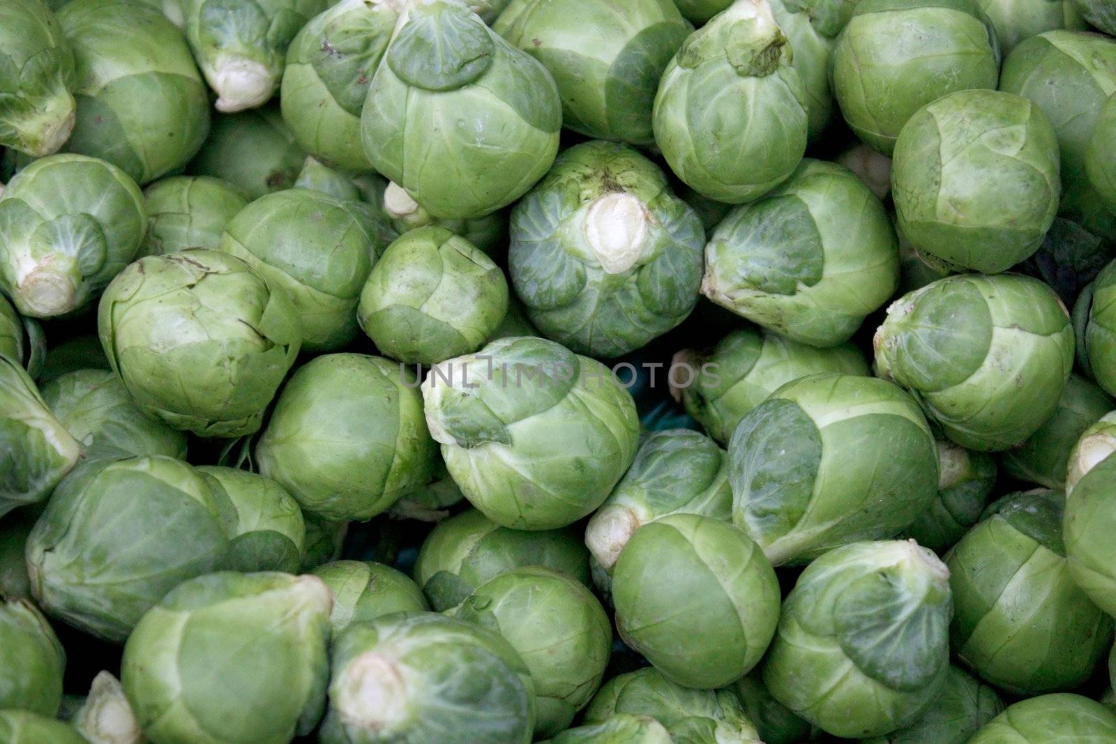 brussel sprout