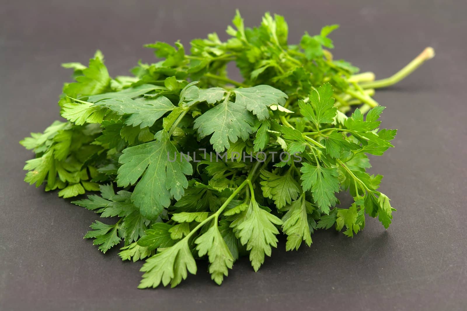 Fresh green parsley on a black background