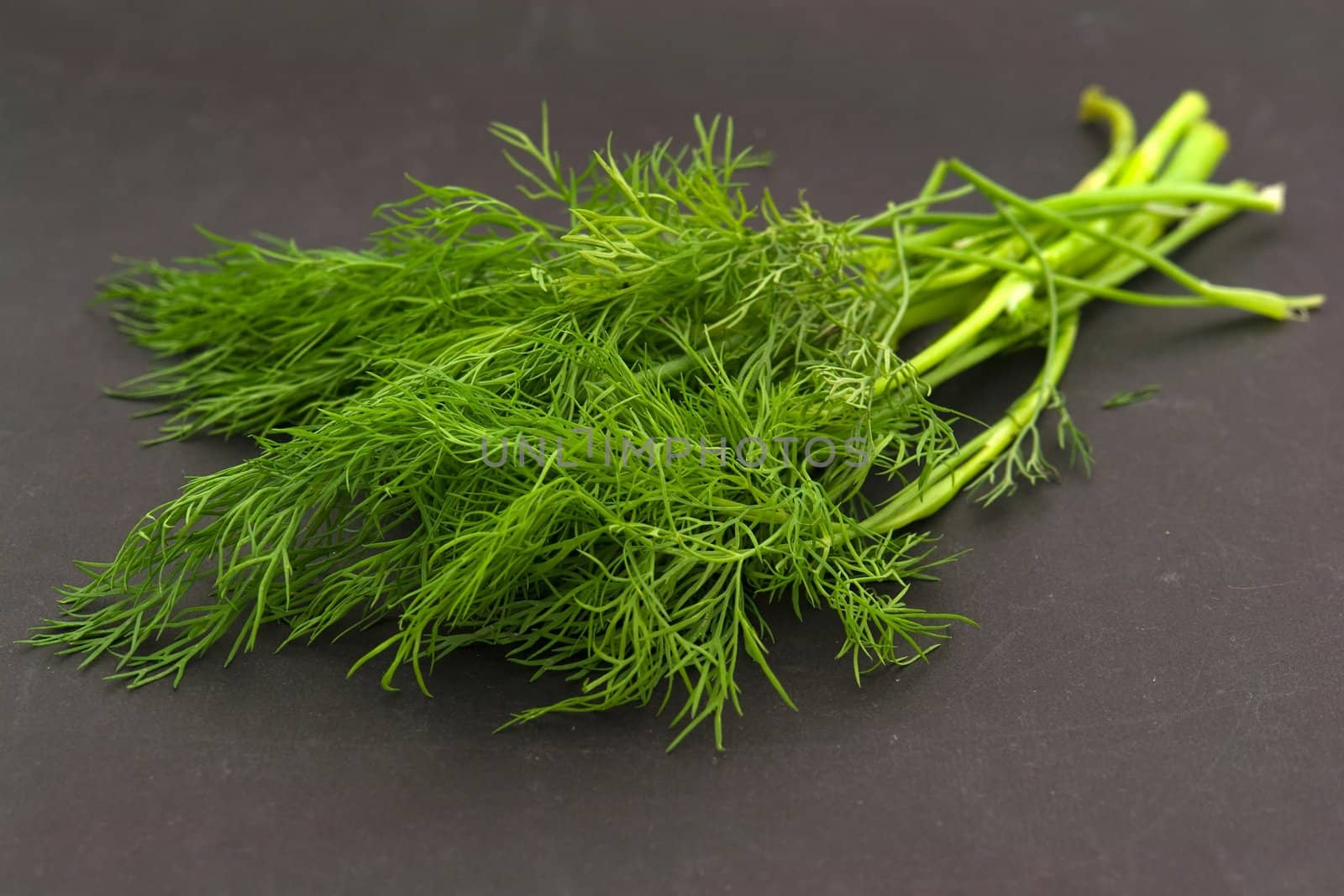 Fresh green dill on a black background