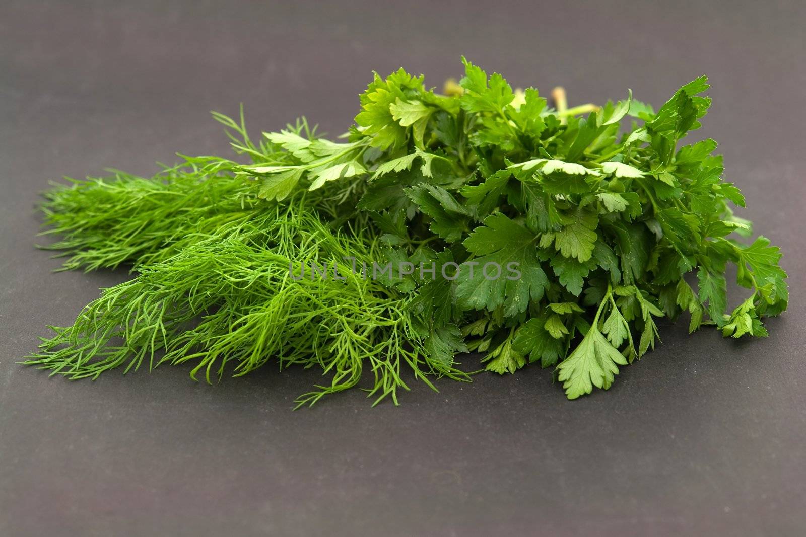 Fresh green dill and parsley on a black background