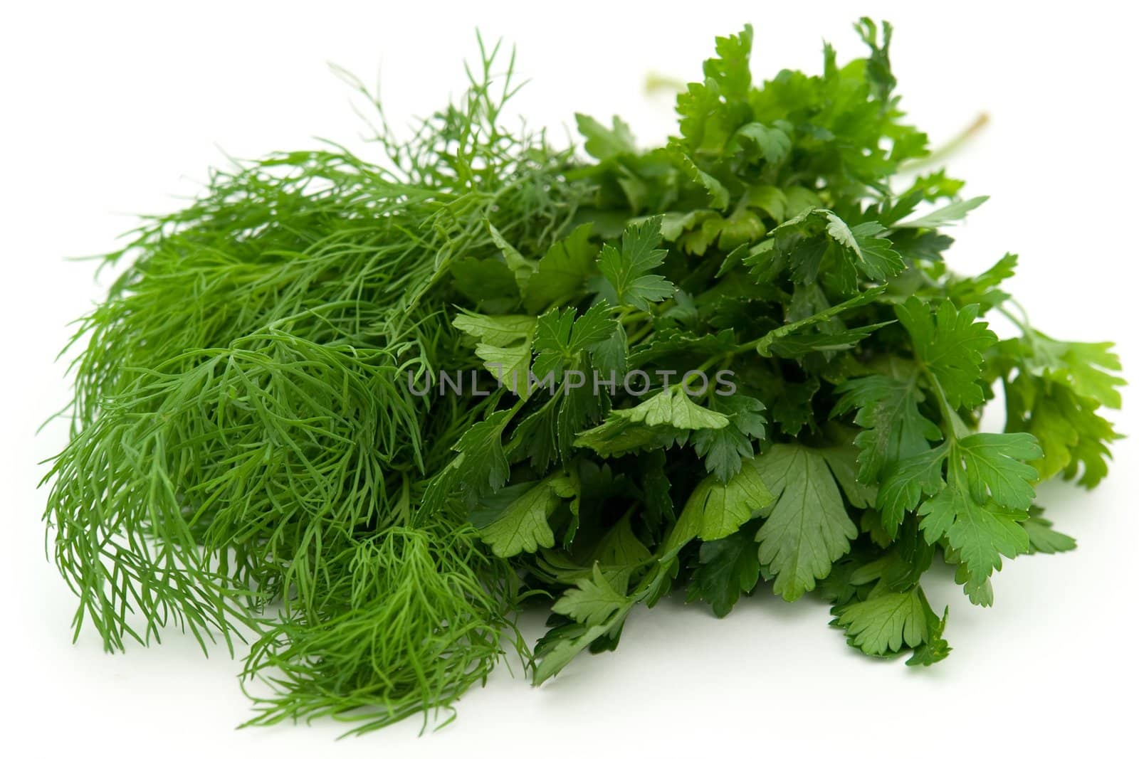 Fresh green dill and parsley on a white background