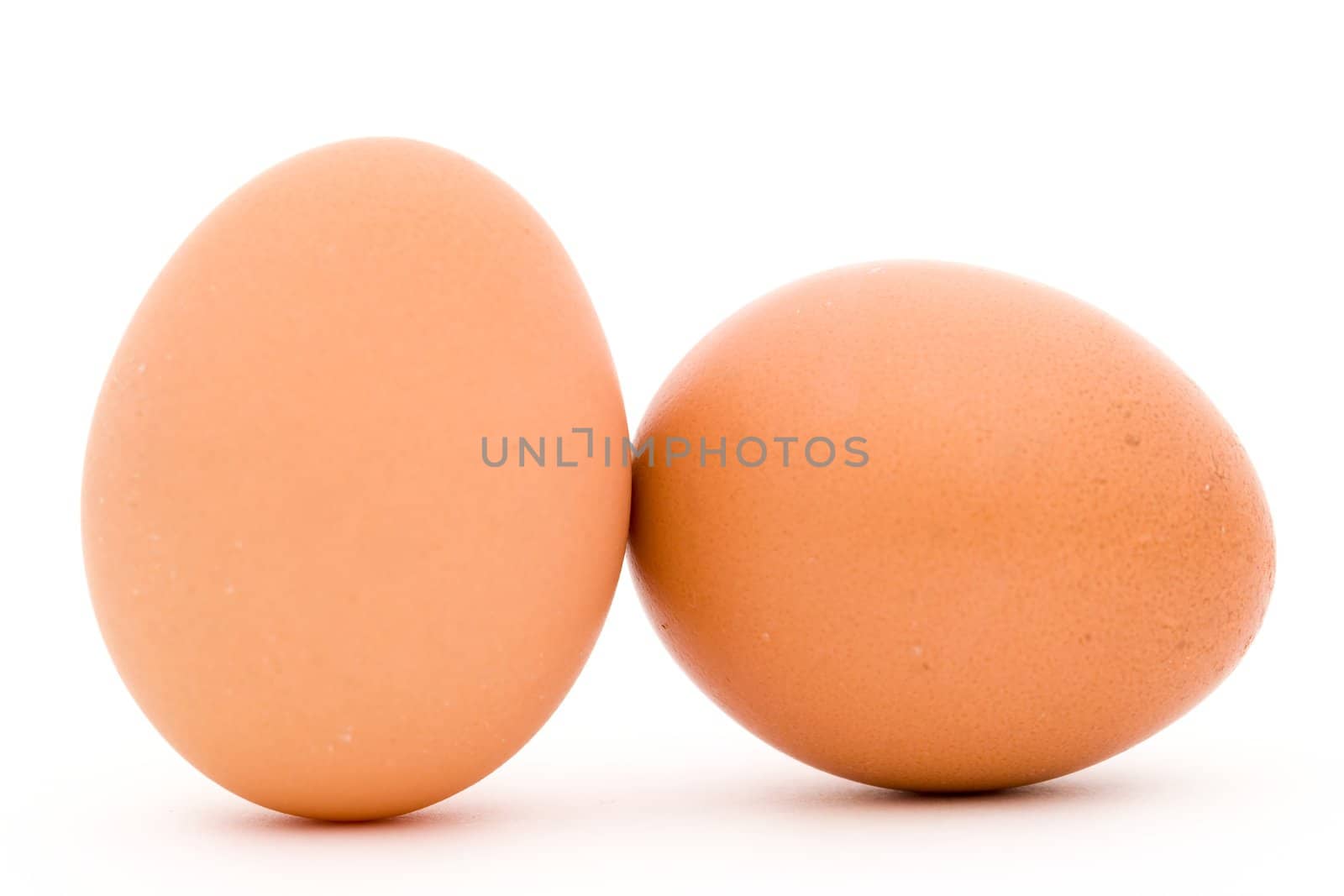 Two eggs on a white background