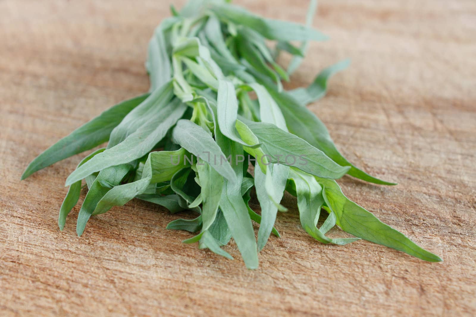 Fresh tarragon from the garden