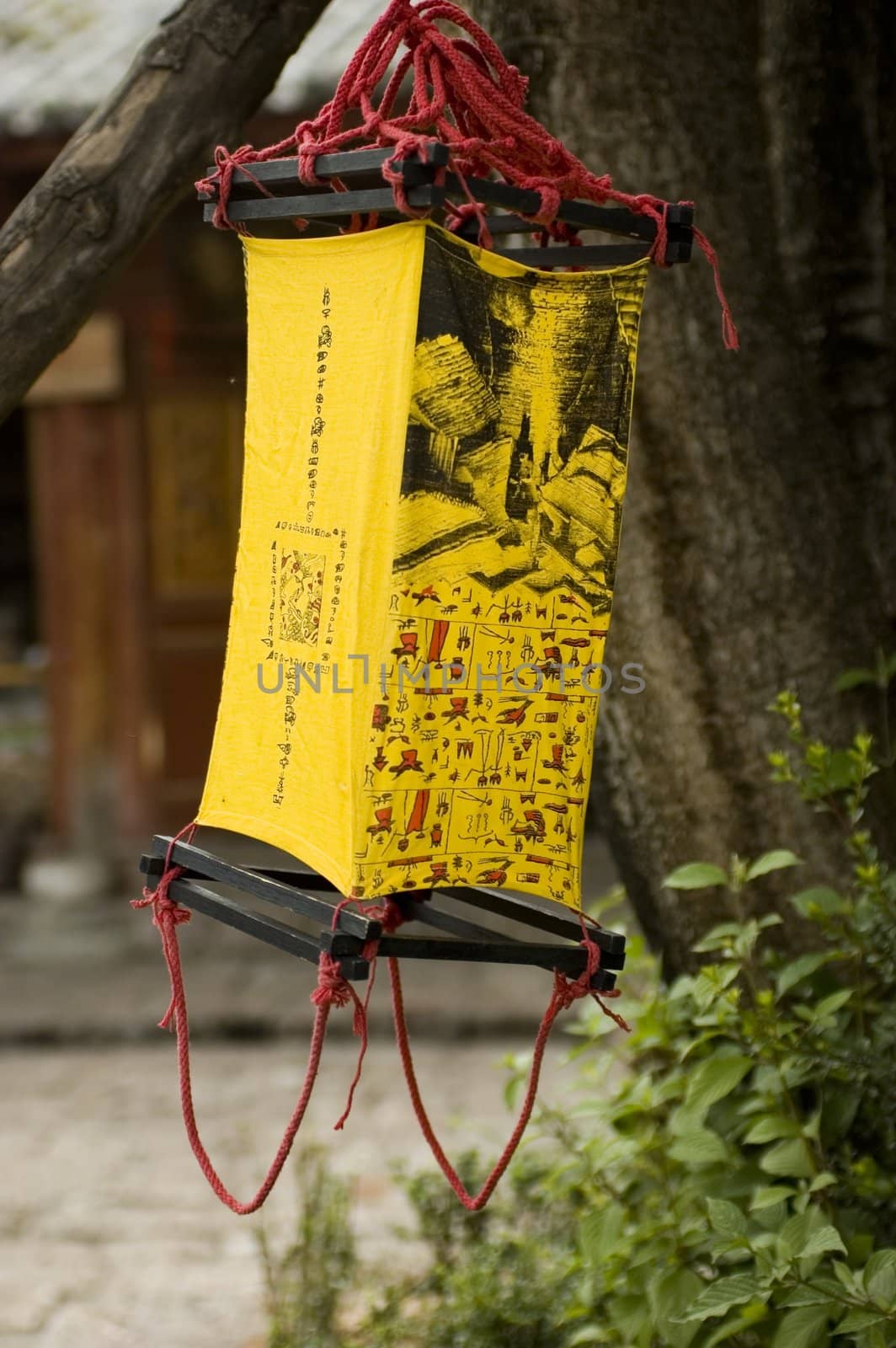 Special, decorative Chinese lantern hanged on tree in Lijiang old town, Yunnan province, China.