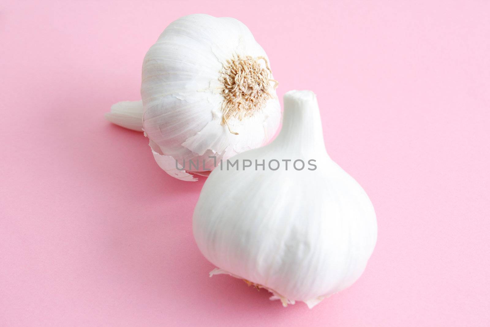 Fresh garlic on a wooden background