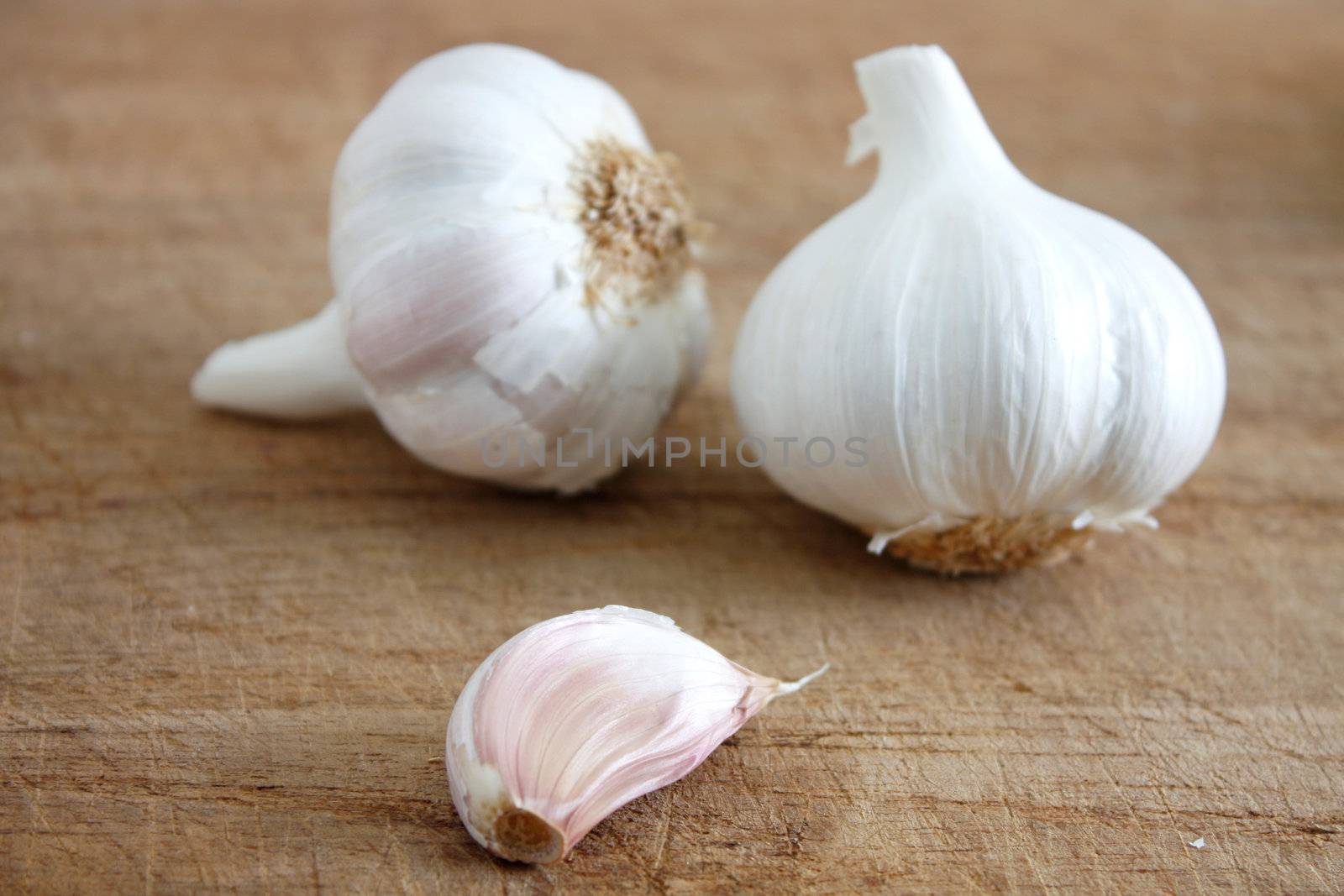 Fresh garlic on a wooden background