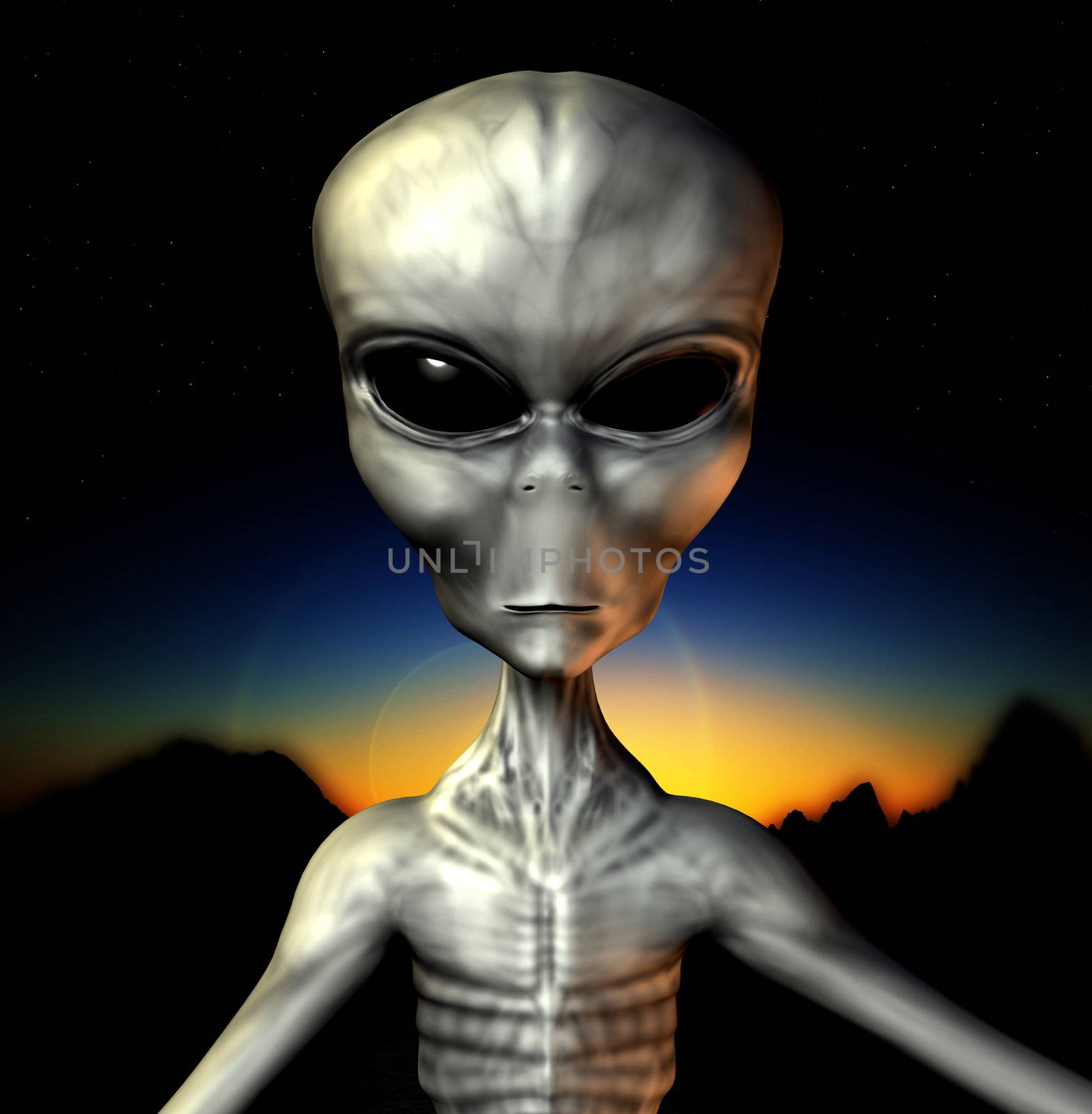 An example of an alien grey.