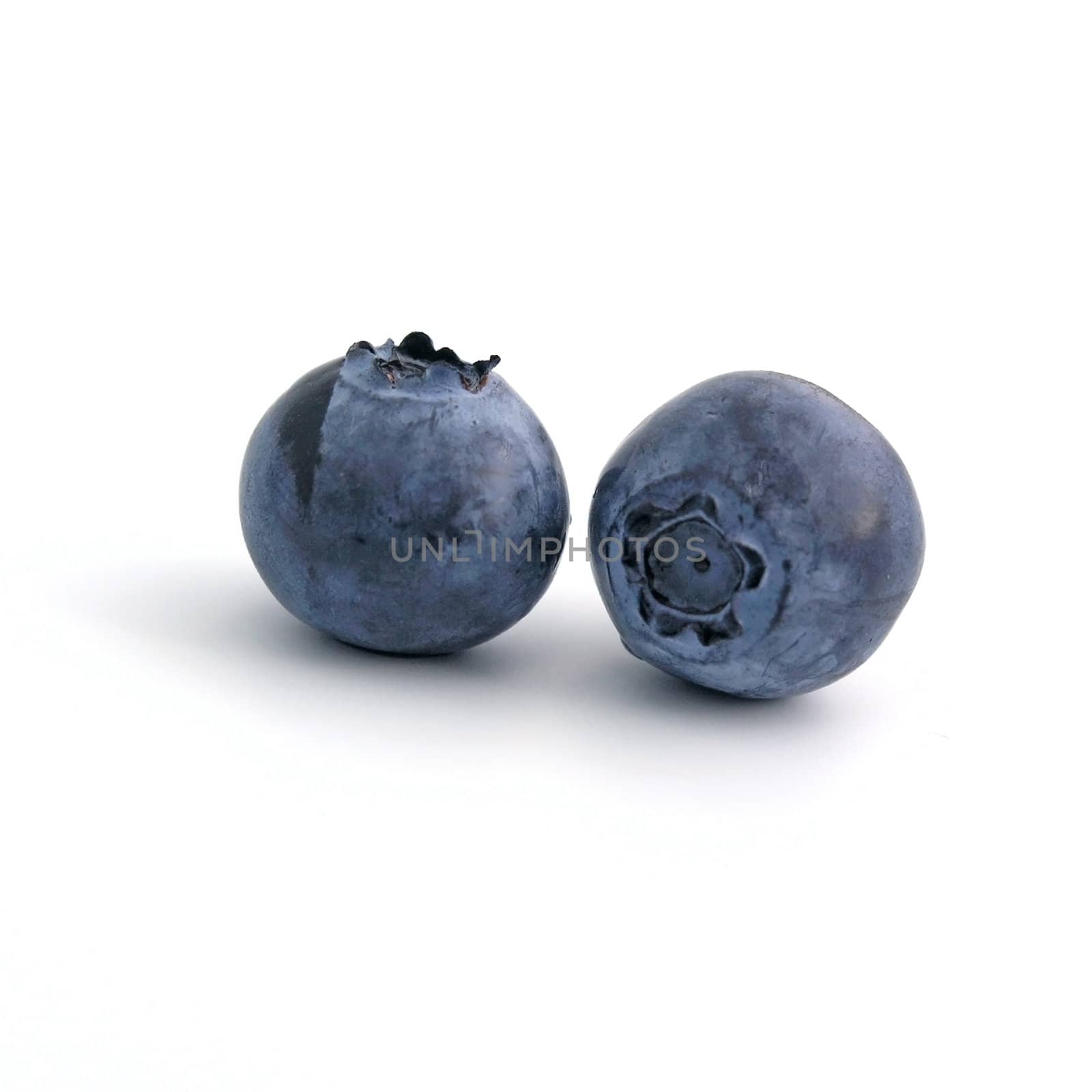 sweet bilberries on white background