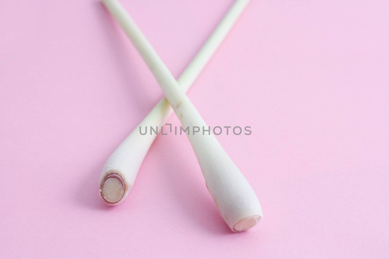 Lemon grass isolated on a pinkbg