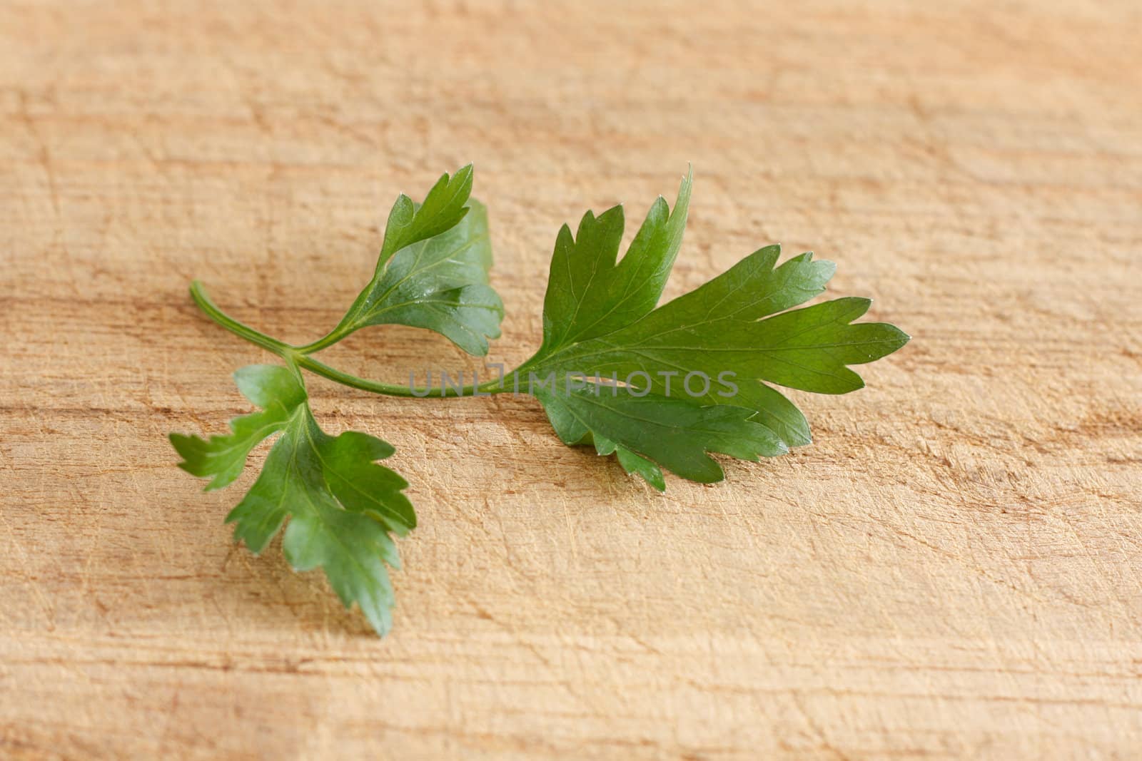 Parsley on a wooden surface