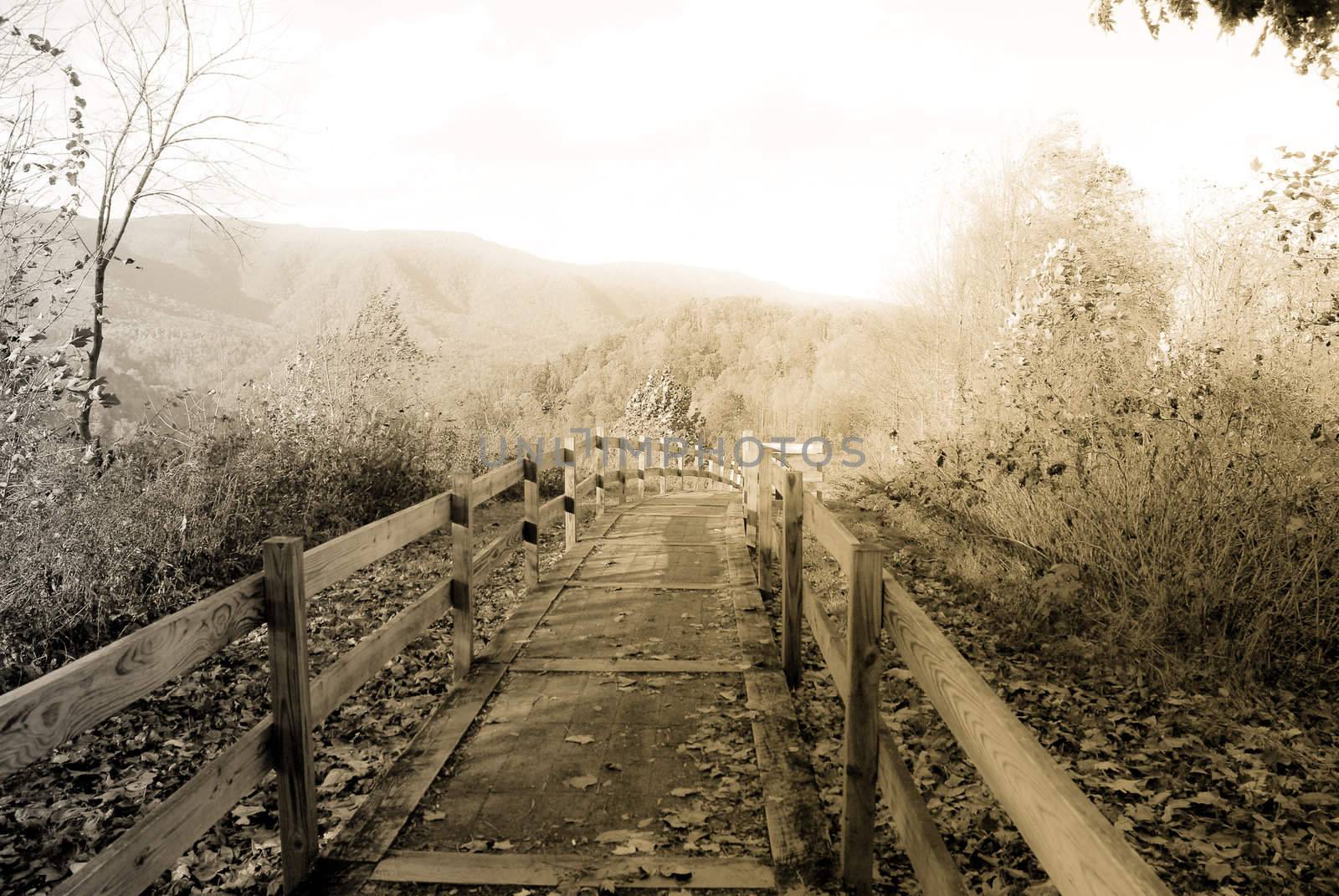 Walking through the smoky mountains