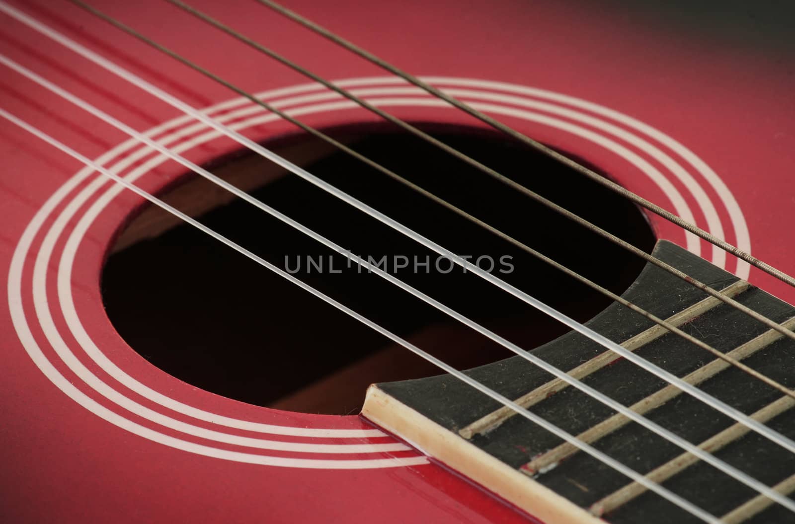 closeup of an acoustic guitar strings