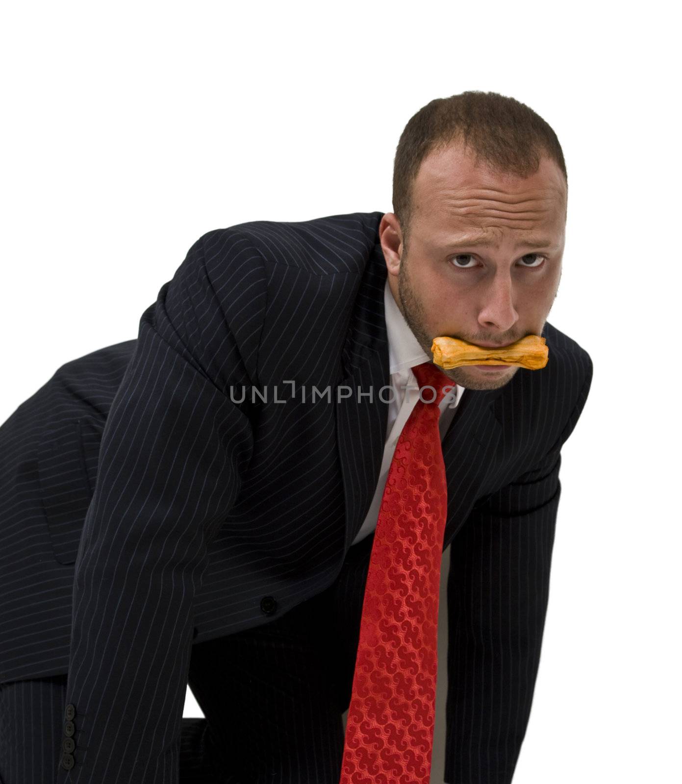 male with dog biscuit on isolated background

