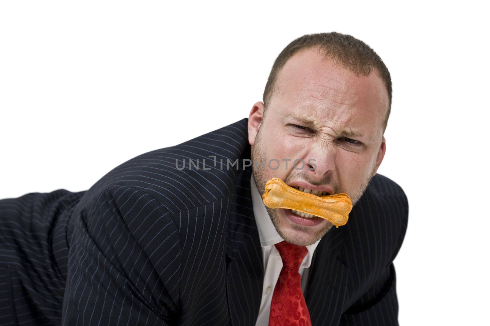 male with dog biscuit on isolated background


