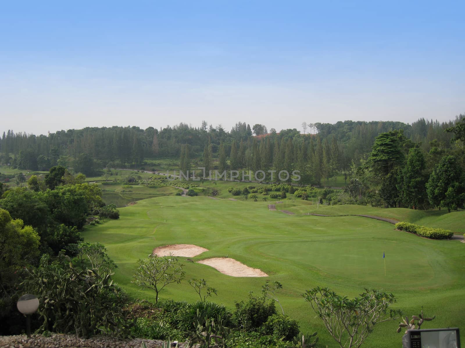 a beautiful scenery for a golf land.