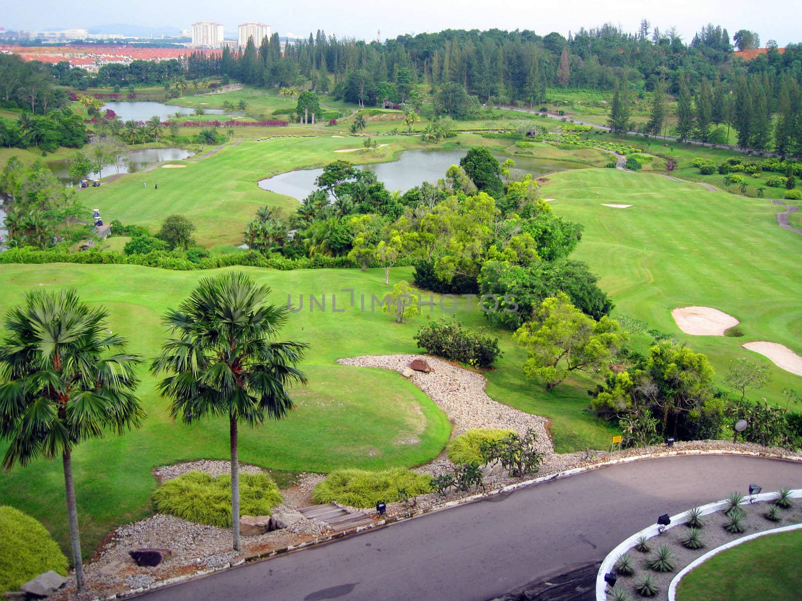 a beautiful scenery for a golf land.