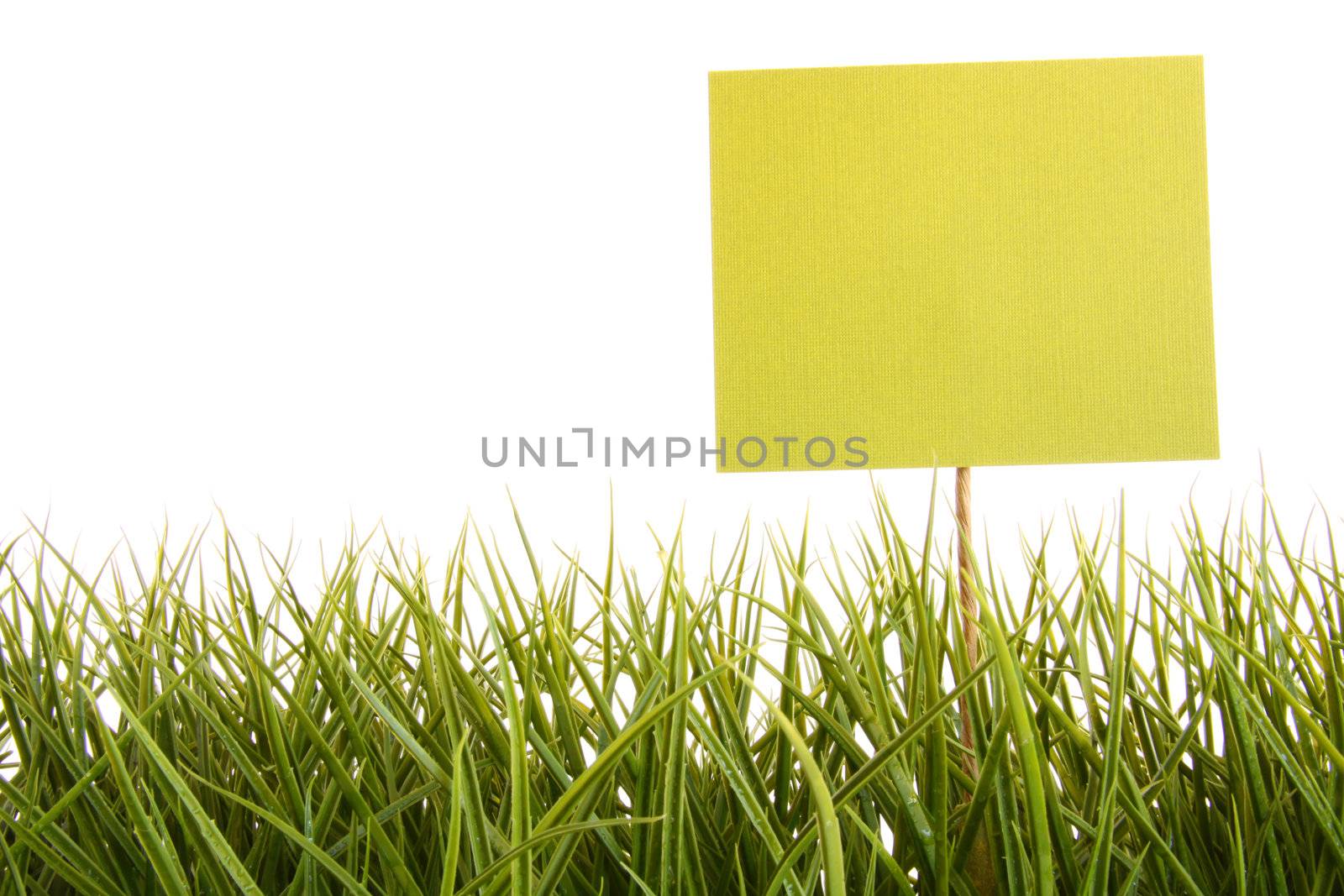 Green sign in the grass with white background