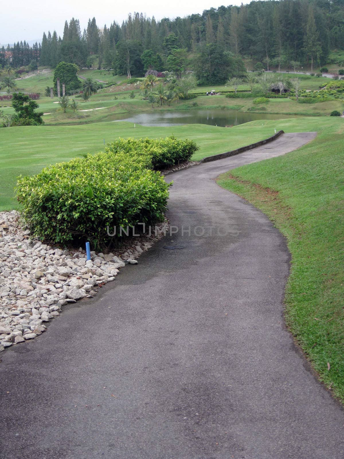 a path in the beautiful scenery of a golf land.