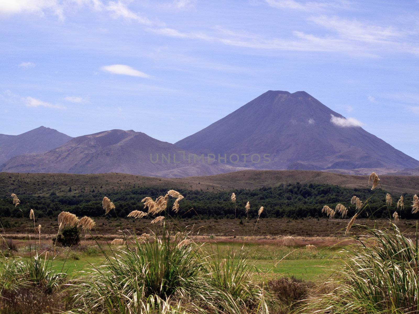 Grasses frame the volcano that was Mount Doom in Mordor in Lord of the Rings