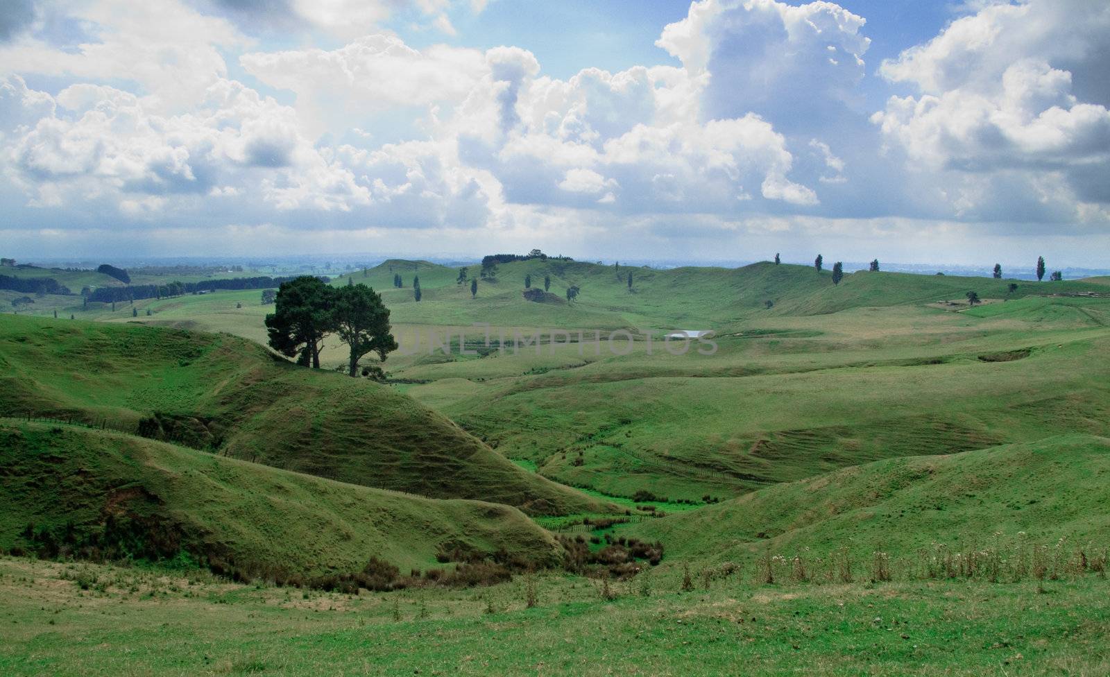 The Shire in the Lord of the Rings was set in this rolling countryside valley in New Zealand