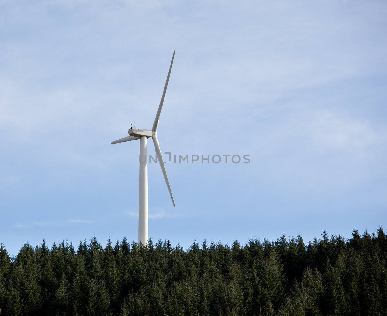 Large wind based electricity turbine rising above the tree line against a blue sky