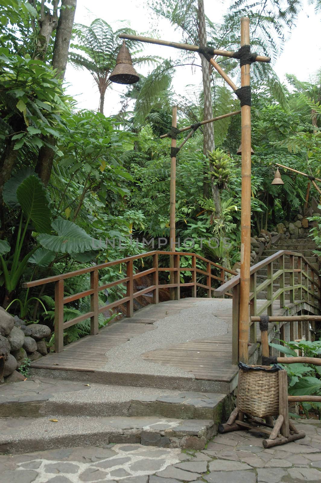 beautiful tropical garden with many flowers and green plant