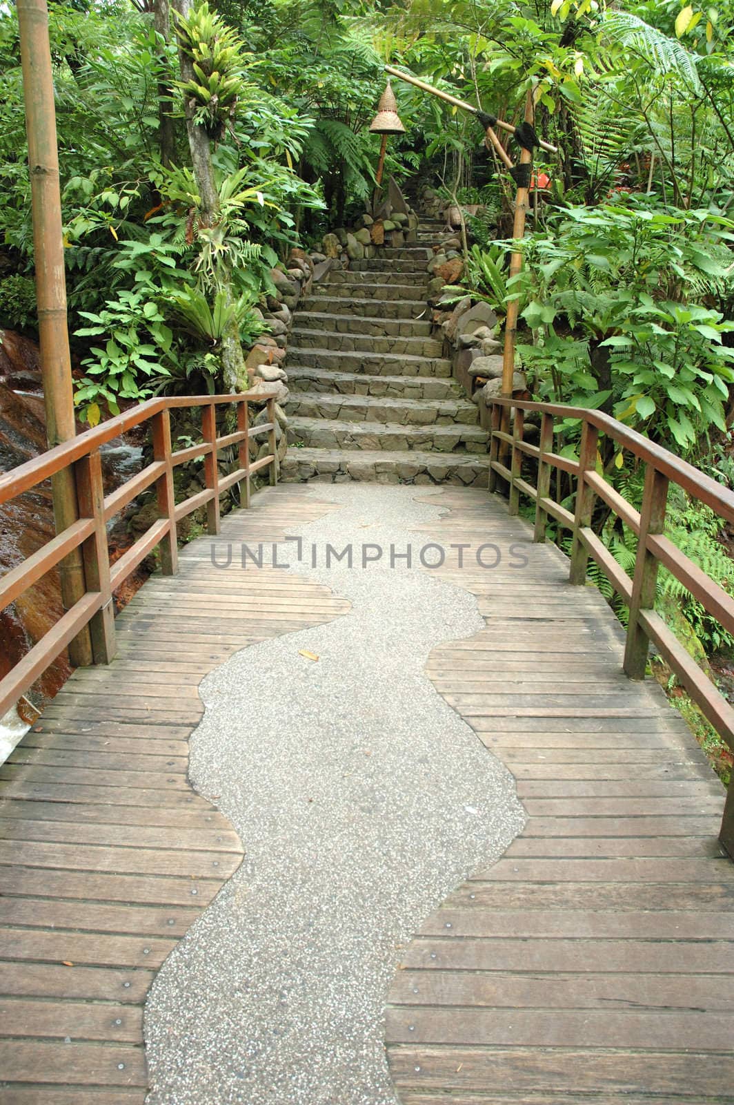 beautiful tropical garden with many flowers and green plant