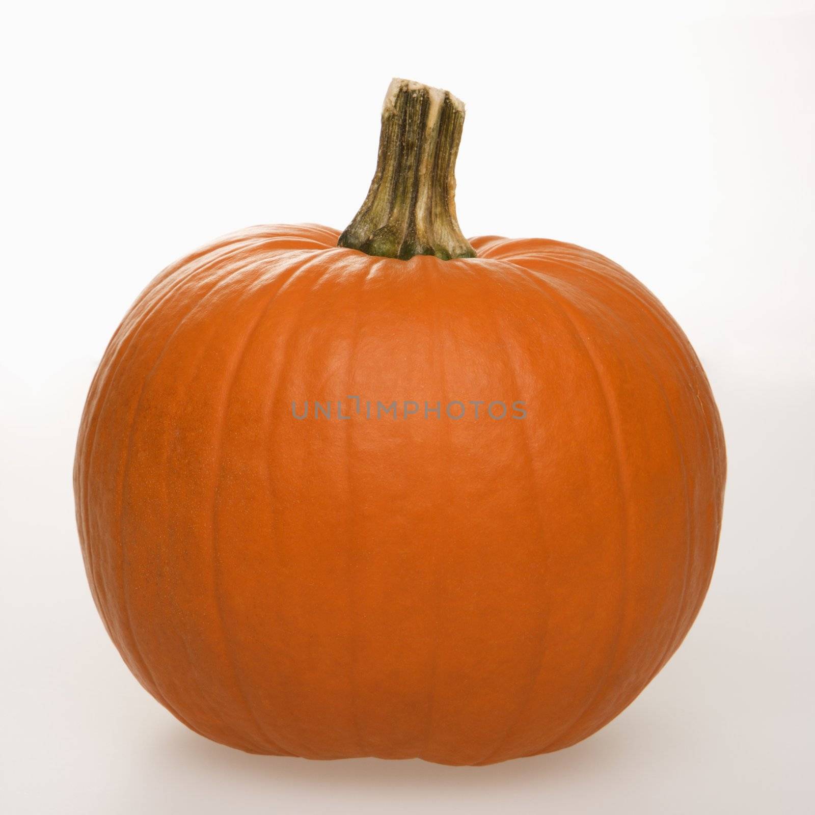 Still life of orange pumpkin against white background.