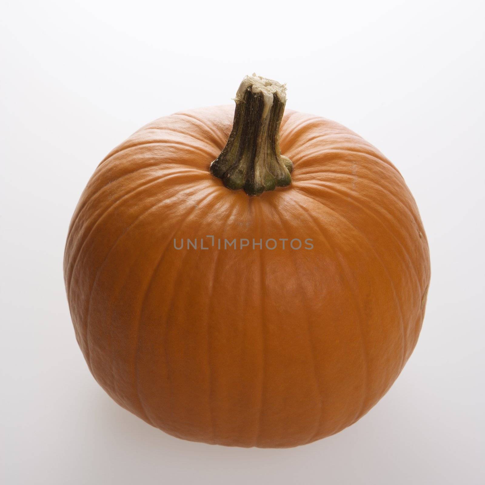 Still life of orange pumpkin against white background.