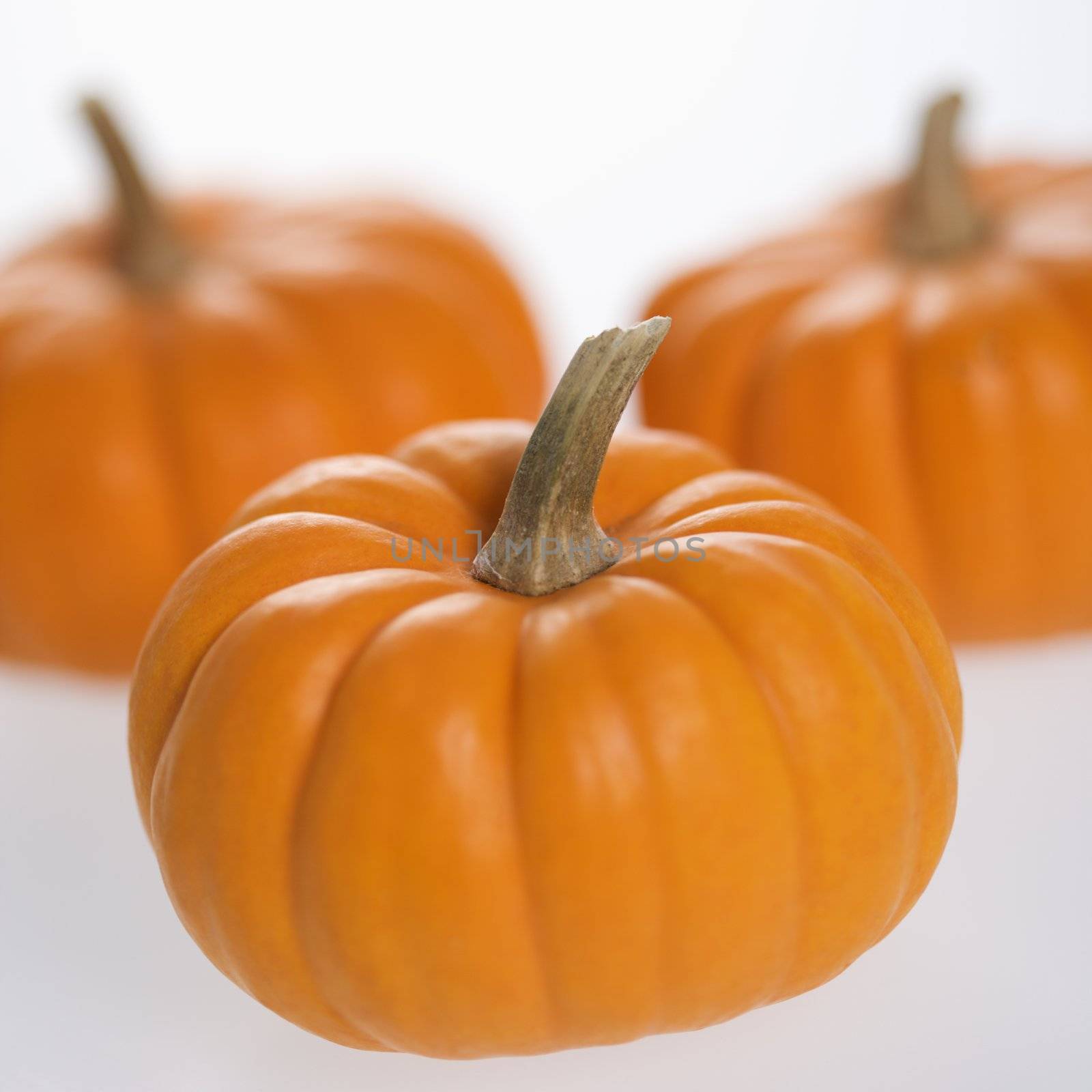 Still life of three orange pumpkins against white background.