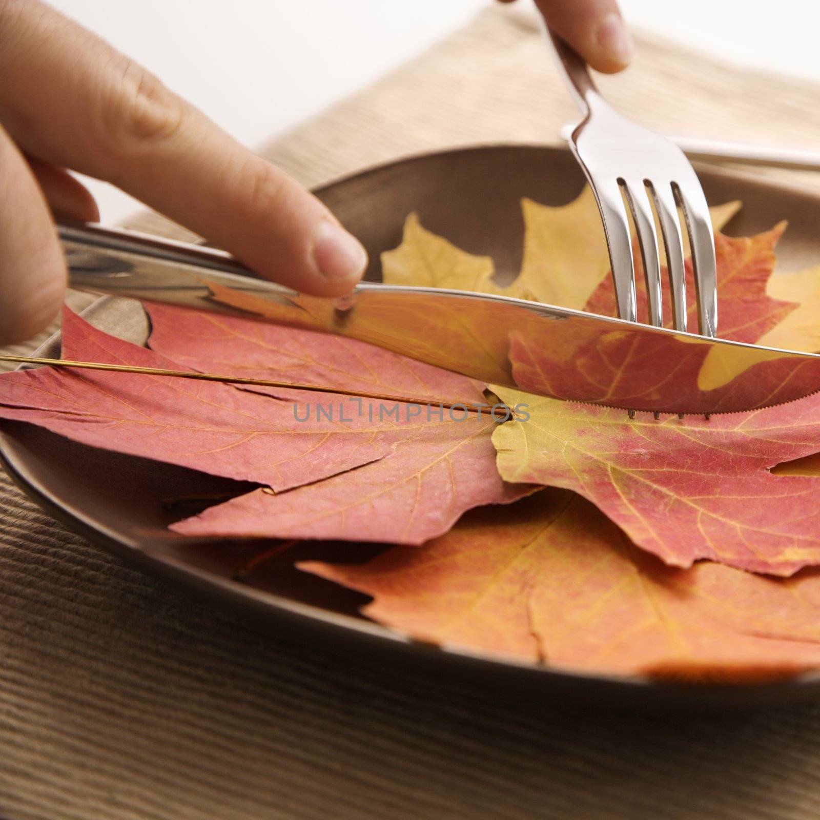Close-up of person's hands carving meal of multicolored leaves using knife and fork.