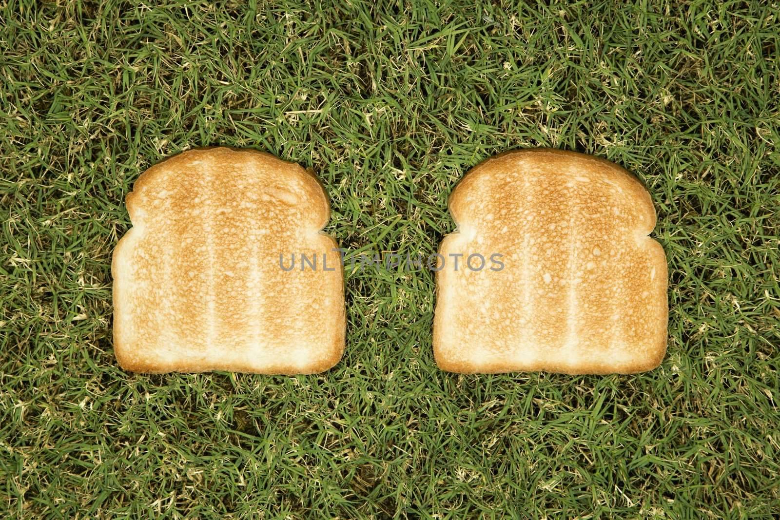 Toast on grass. by iofoto
