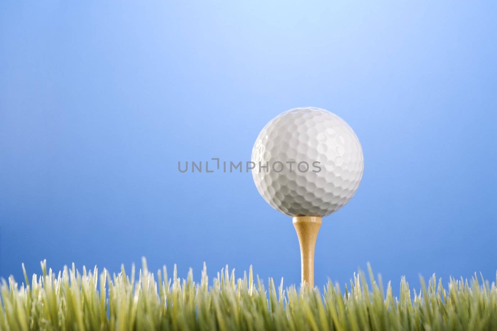Golfball on tee in grass. by iofoto