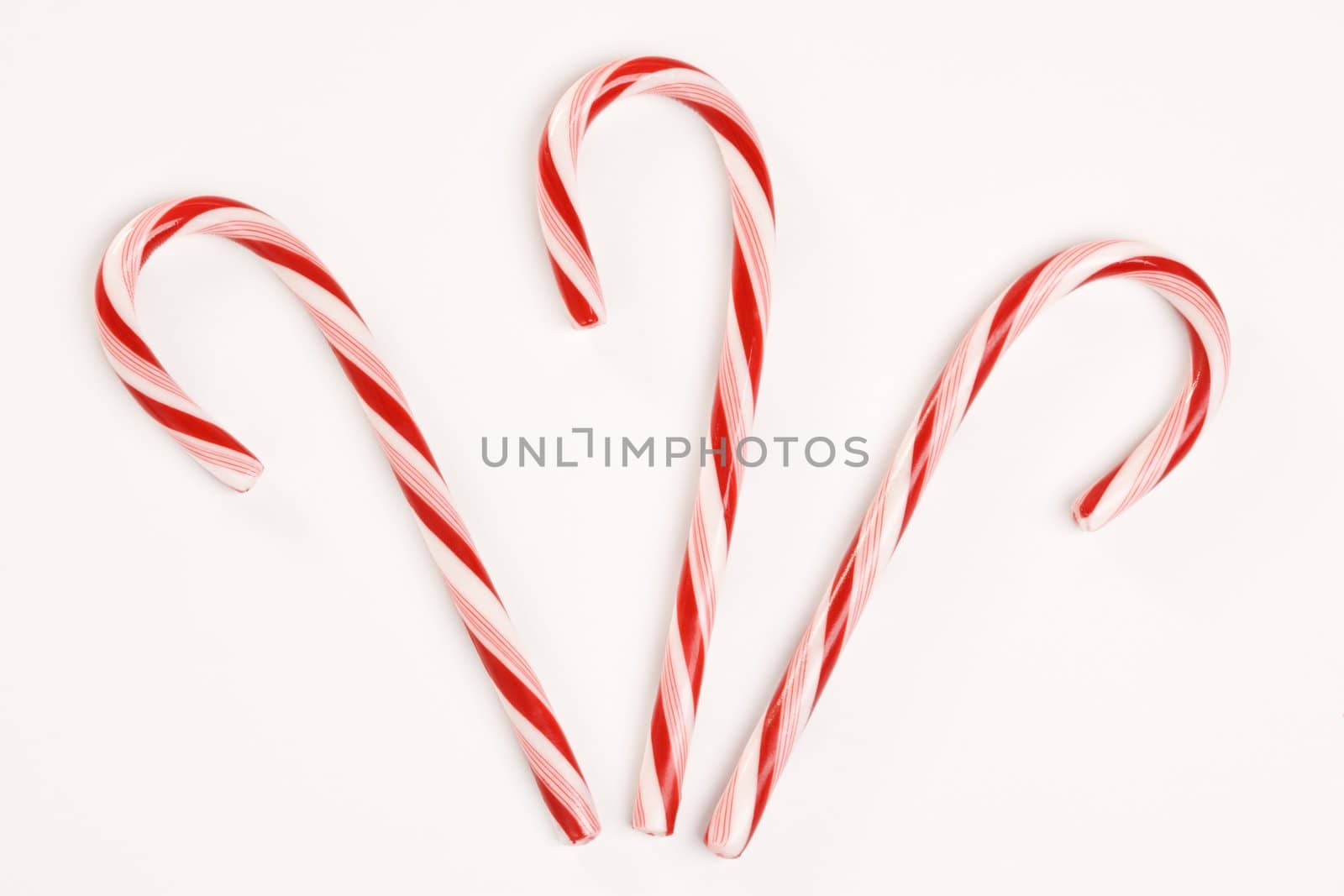 Still life of three candy canes.