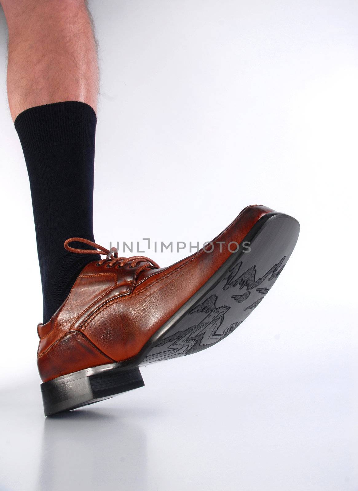 Male hairy leg with black sock and brown shoe.  by cienpies