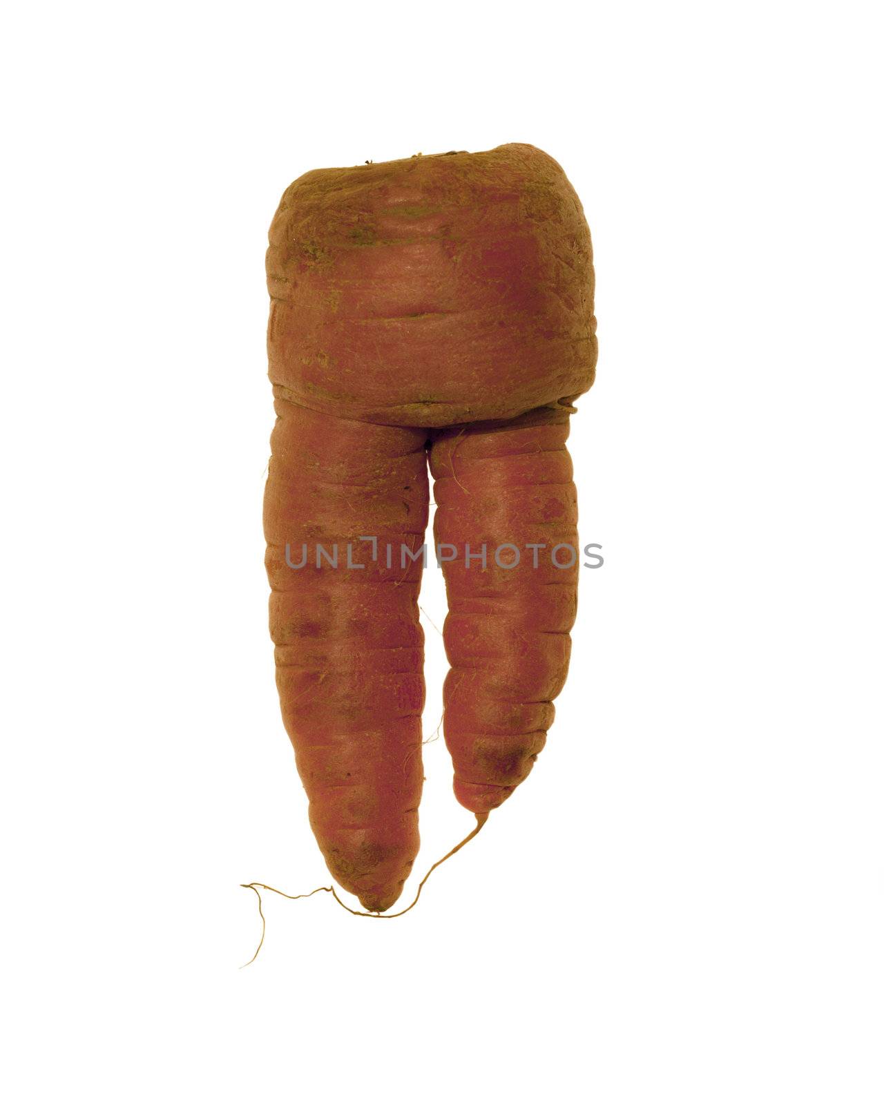 Carrot Biped  by DirkWestphal