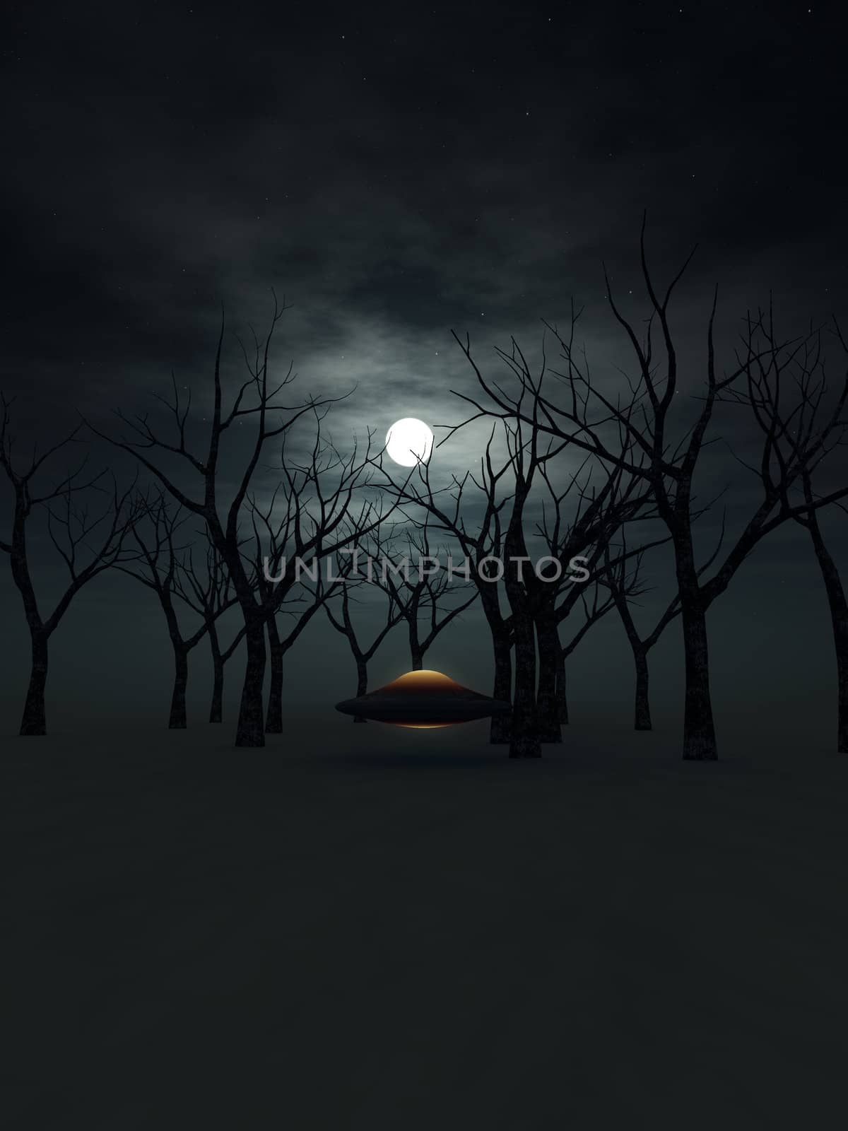 A UFO that is in a dark nighttime forest.