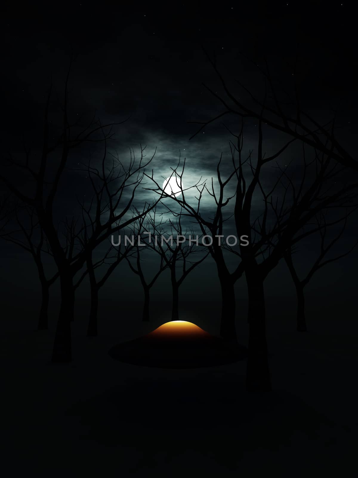 A UFO that is in a dark nighttime forest.