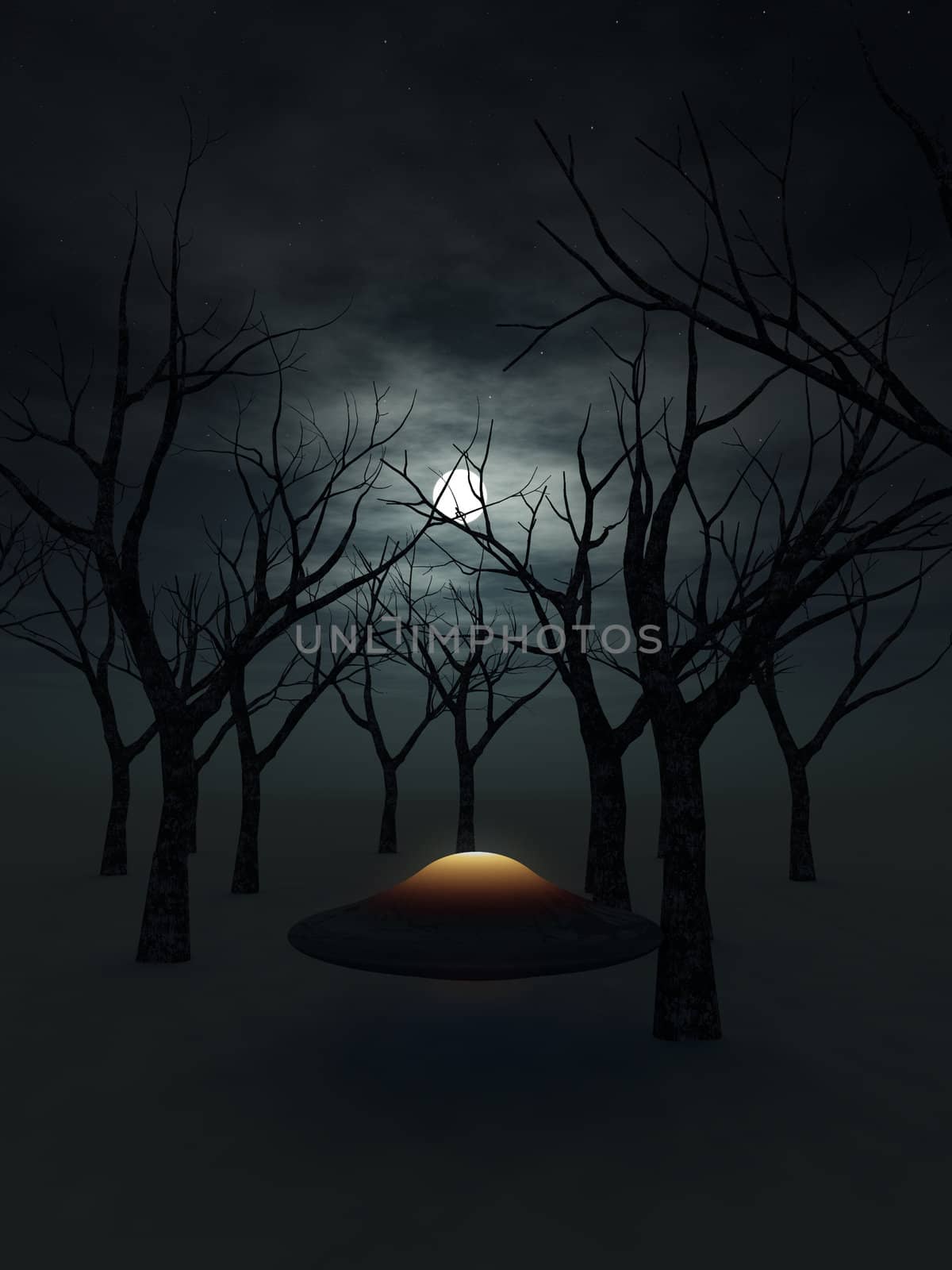 A UFO that is in a dark nighttime forest.