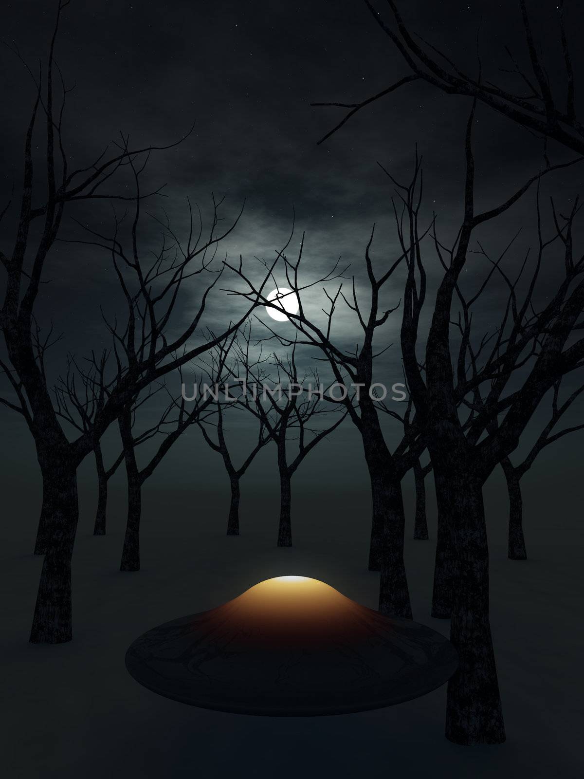 A UFO that is in a dark nighttime forest.